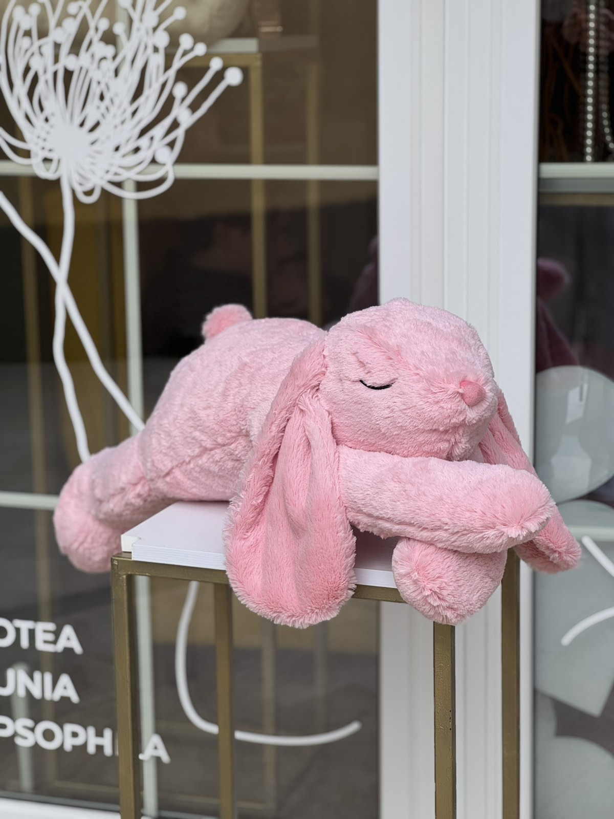 Jucarii moi pentru flori si buchete in Moldova - Mia Flori